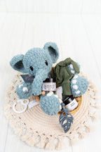 Welcome Baby Boy Basket